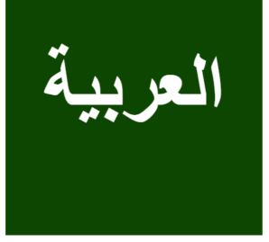 Cours de langue arabe