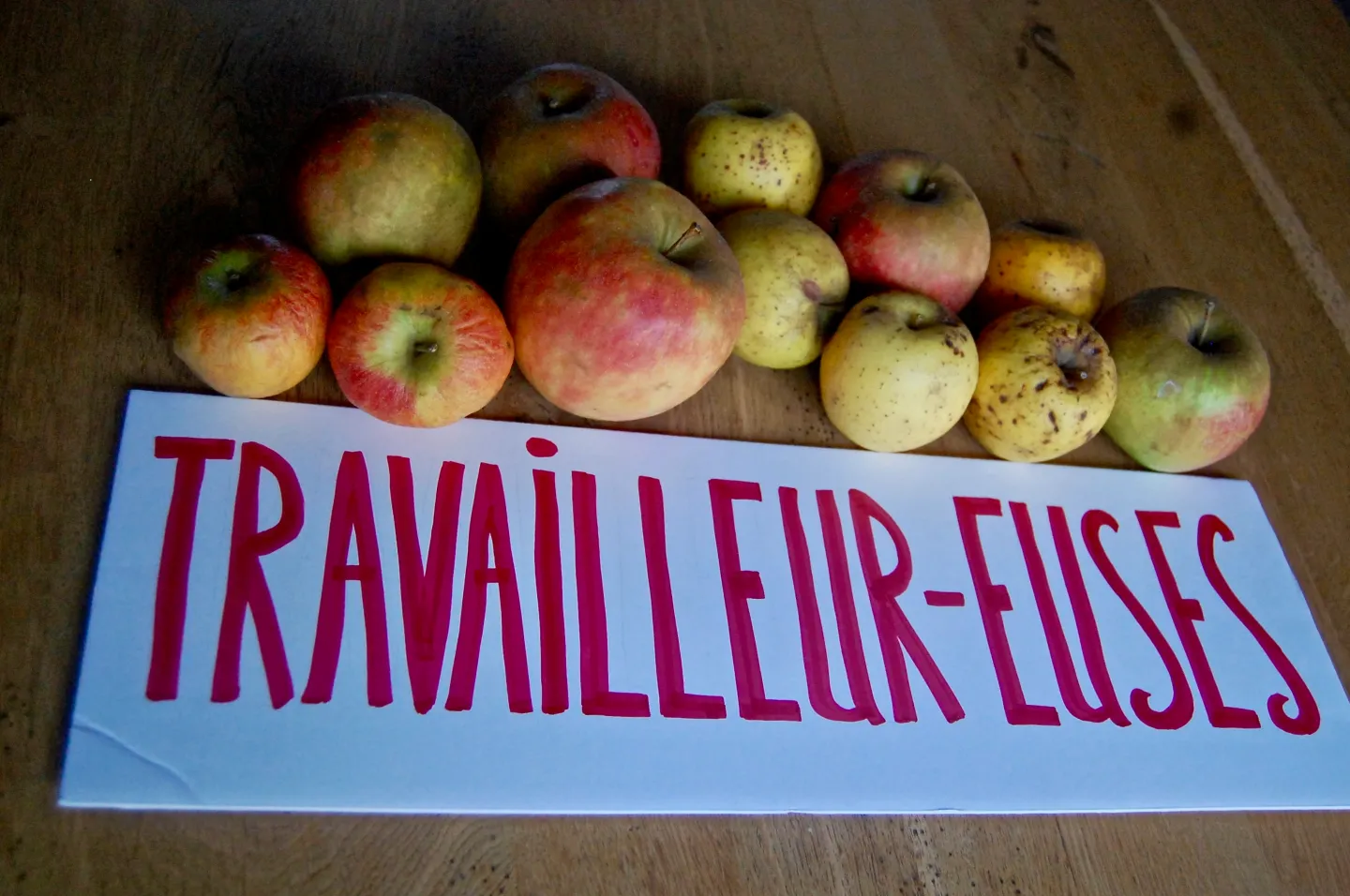 Conférence Gesticulée "Qu'est-ce qu'on mange ce soir"
